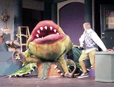 feedme1.jpg (41.45 KiB) Viewed 20528 times from http://www.brockport.edu/theatre/feedme1.jpg